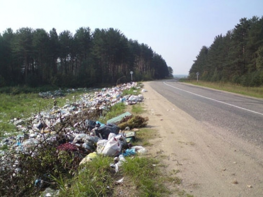 В Воронеже обсудили способы борьбы с загрязнением федеральных трасс