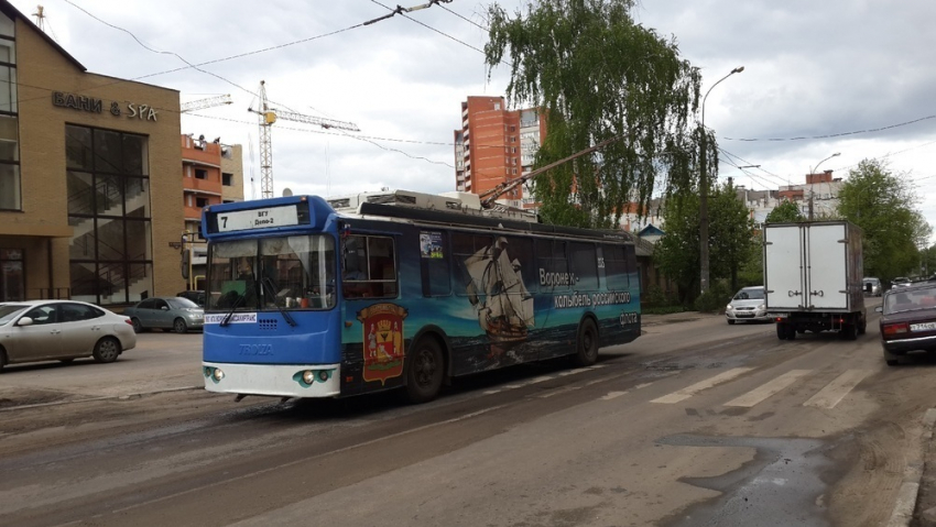 В Воронеже появился троллейбус с изображением символа города