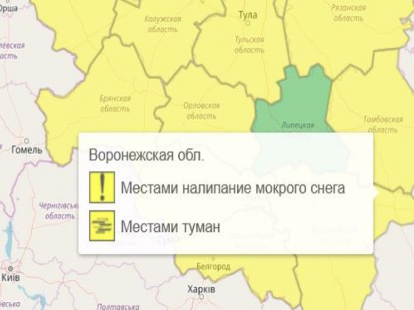 В Воронежской области объявлен жёлтый уровень погодной опасности