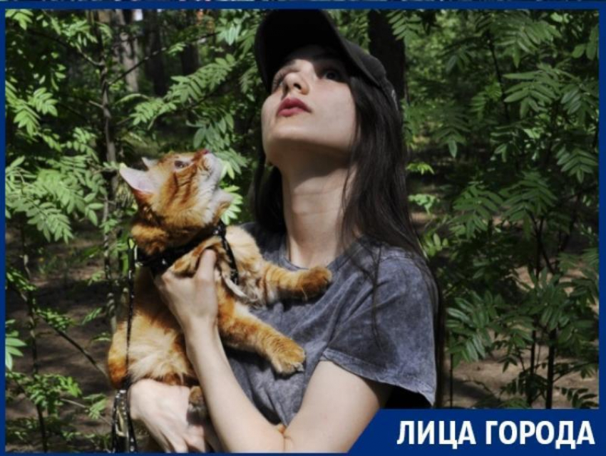 О любви американцев к кисам рассказала хозяйка популярного в Воронеже кота