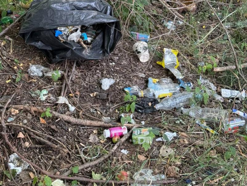 В угрюмую свалку превратилась территория рядом с детсадом и школой №95 в Воронеже
