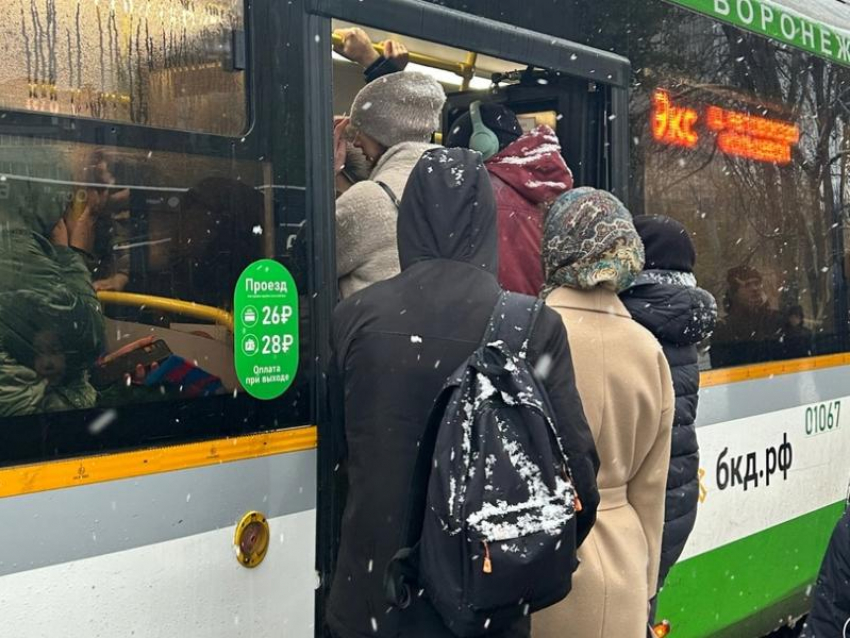 Пробки, забитые автобусы и космические цены на такси: в Воронеже выпал снег