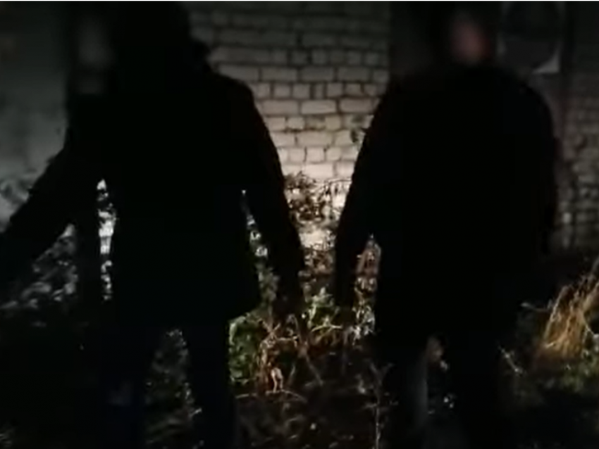 Молодых националистов, которые пытались устроить теракт, осудят в Воронежской области