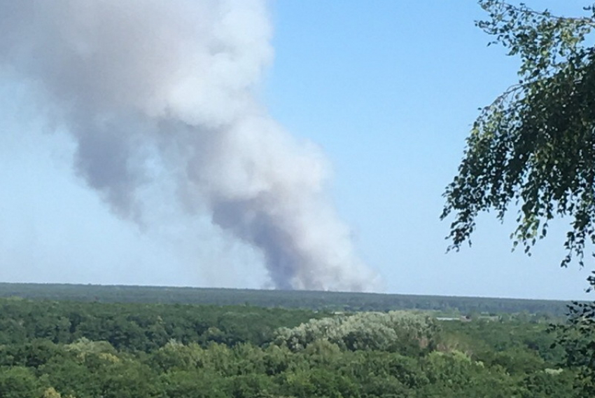 Аномальная жара привела к возгоранию леса под Воронежем