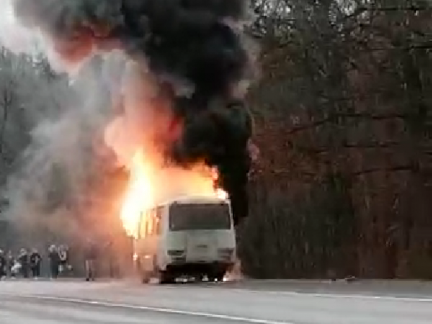 Бегство людей из горящего автобуса на воронежской трассе сняли на видео