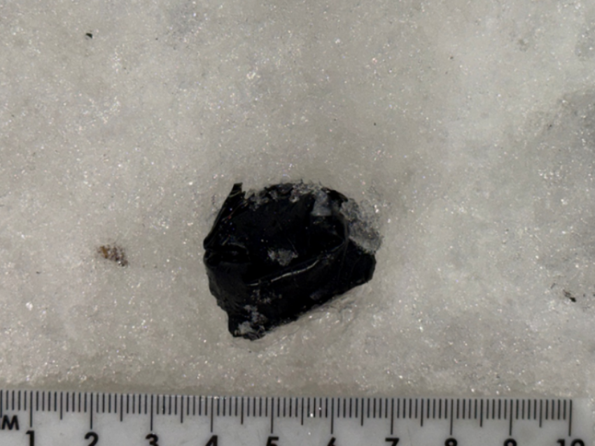 Собака вычислила 22-летнего мефедронщика на остановке в Воронеже 