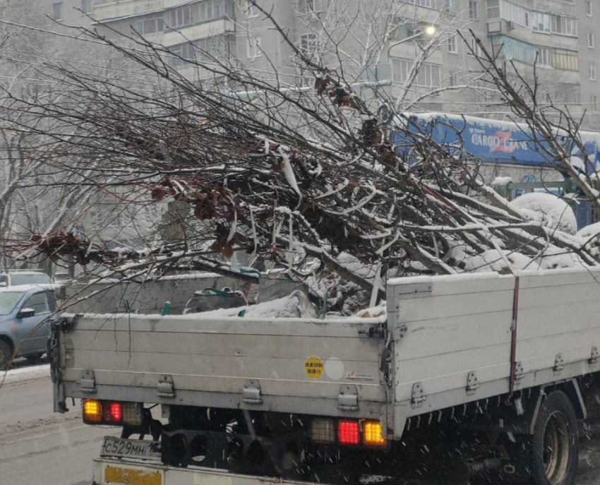  Зимнюю высадку деревьев в снег прокомментировали в мэрии Воронежа