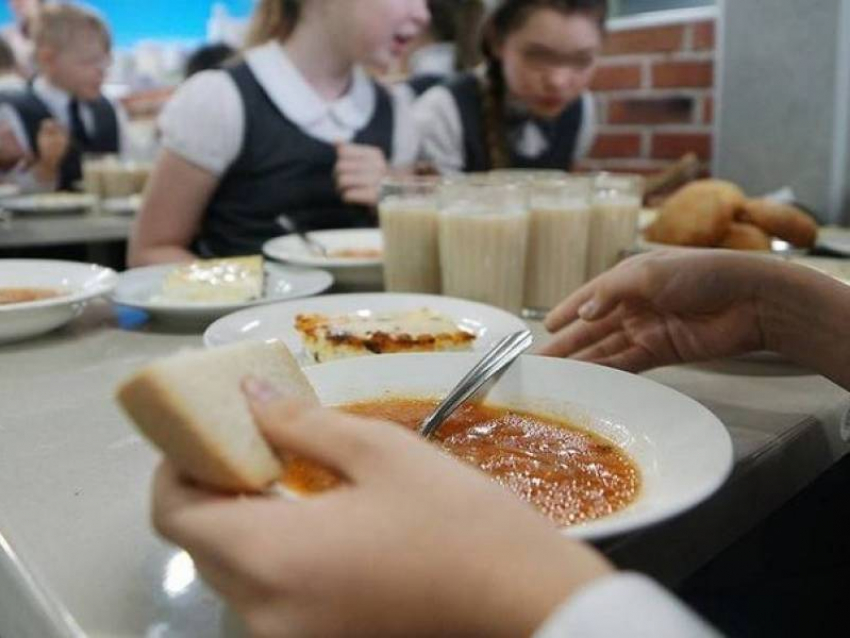 Более полумиллиарда рублей направят на горячее питание воронежским младшеклассникам