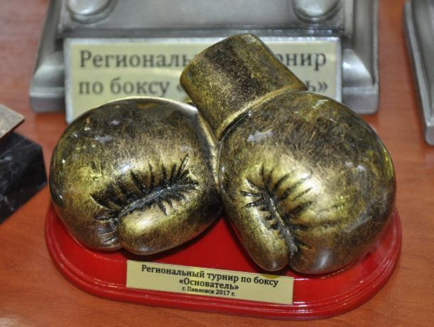 10 золотых медалей завоевали павловские боксеры на I воронежском региональном турнире «Основатель»