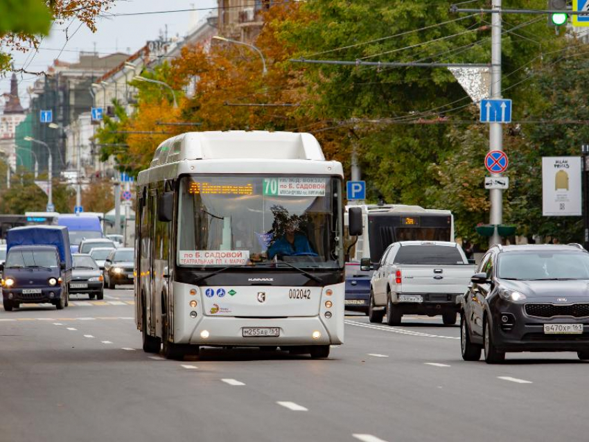 Стало известно, насколько вырастет плата за техосмотр транспорта в Воронеже