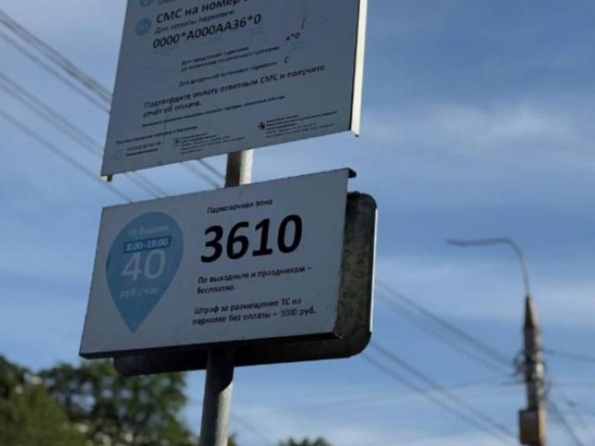  Как будут работать платные парковки в начале ноября в Воронеже 