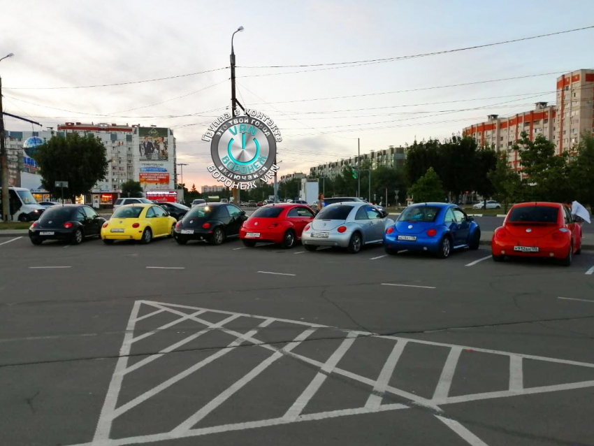 Красочный кортеж «жуков» Volkswagen сняли в Воронеже