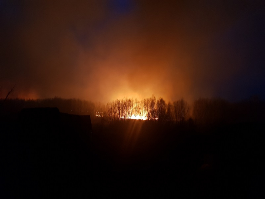 Крупный пожар в пойме воронежской реки попал на снимки