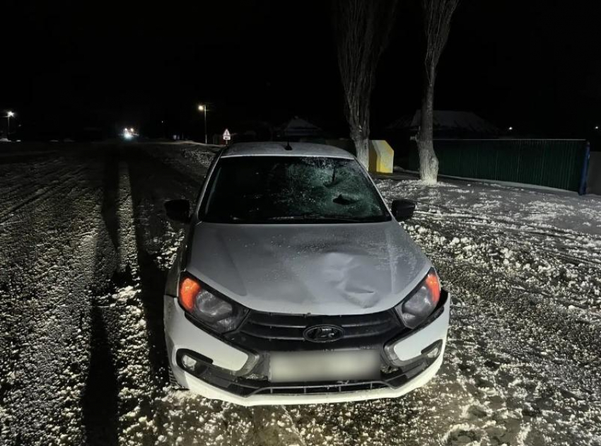 Обгон унес жизнь пожилого пешехода в воронежском селе 