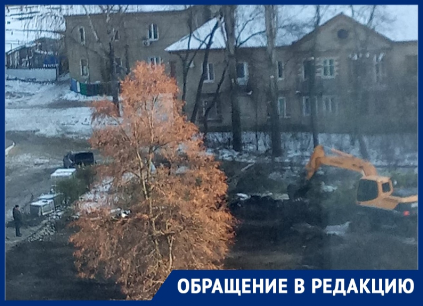 Ради частной парковки в Воронеже уничтожили сквер с деревьями