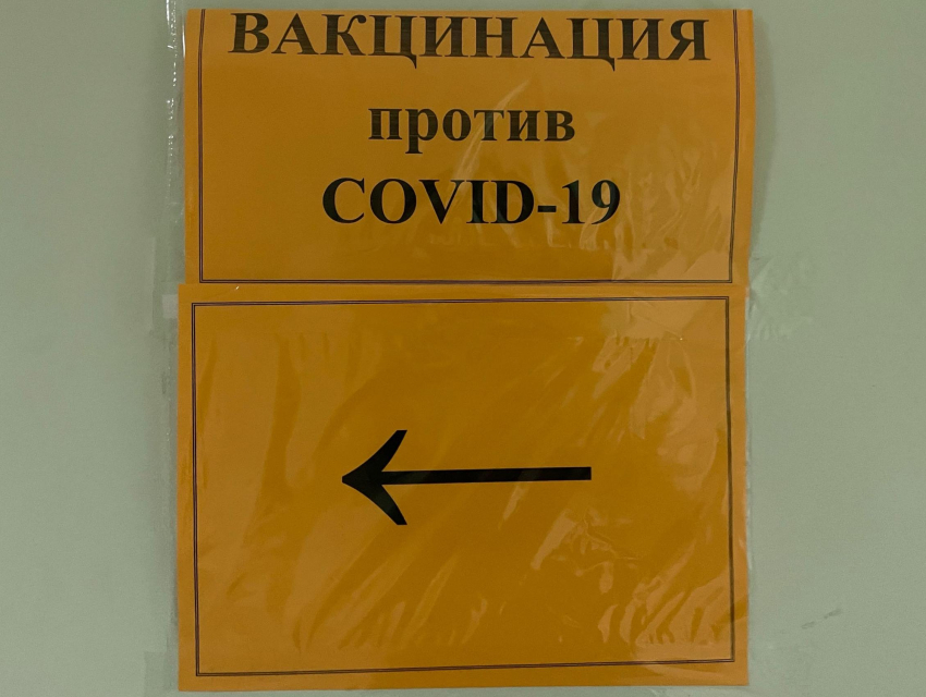 Стало известно, в каком районе Воронежской области больше всего вакцинированных