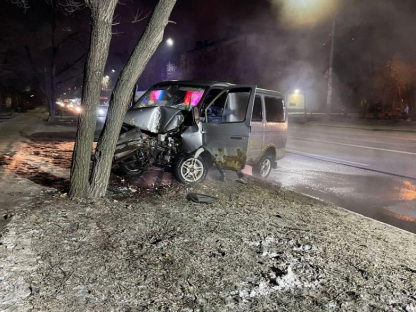 Два человека пострадали в ДТП с деревом в Воронеже 