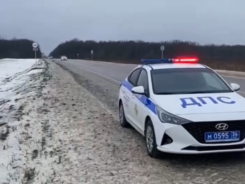 Воронежские полицейские отогрели женщину в патрульном авто 