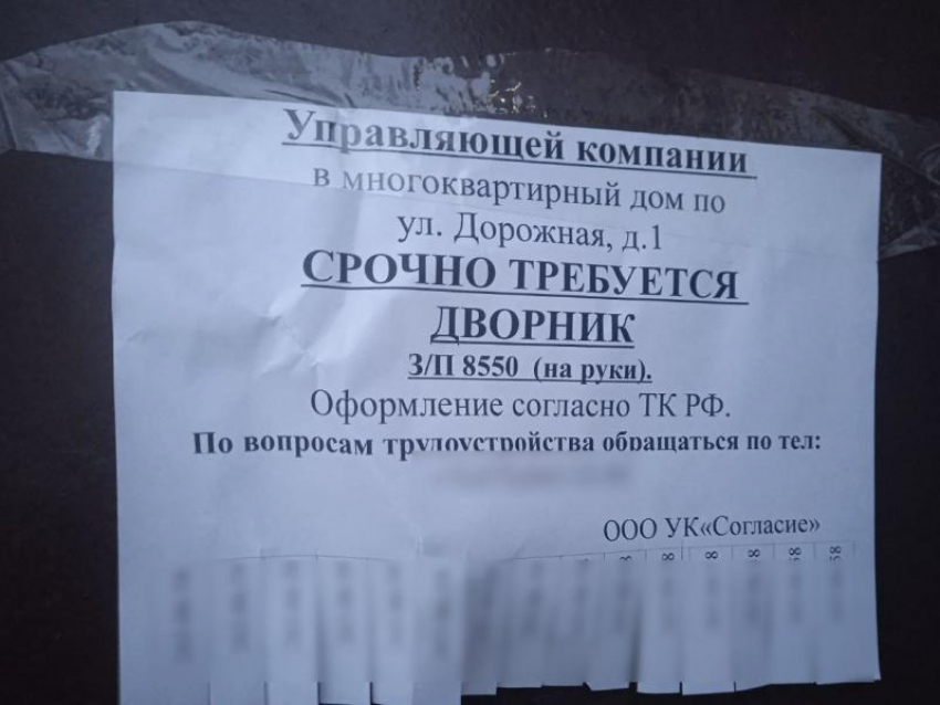 Зарплата дворника на уличном объявлении удивила жителей Воронежа 
