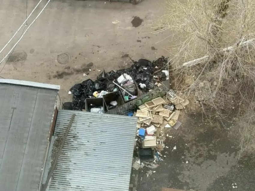 Свалка у люксового отеля «Марриот» обескуражила туриста в Воронеже