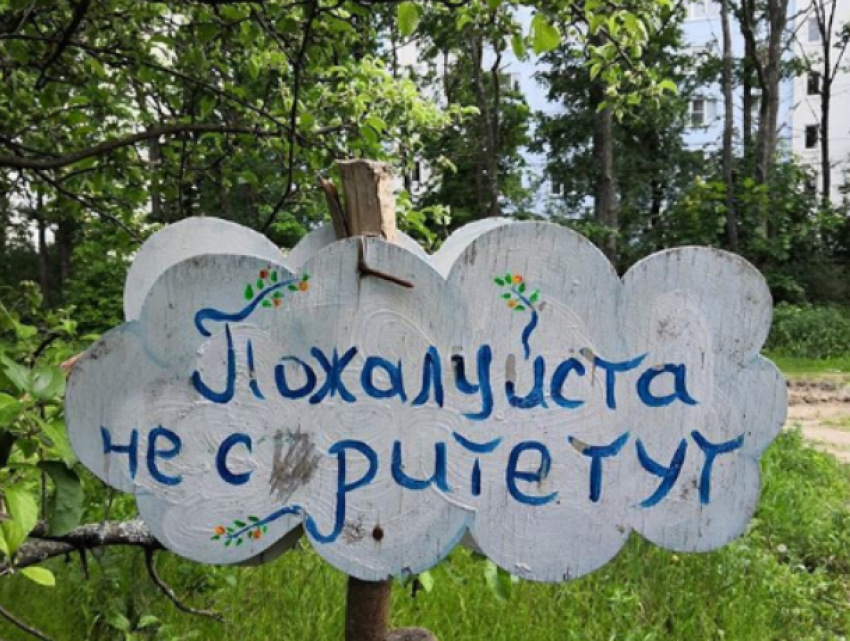 Воронежцев дерзко попросили соблюдать чистоту