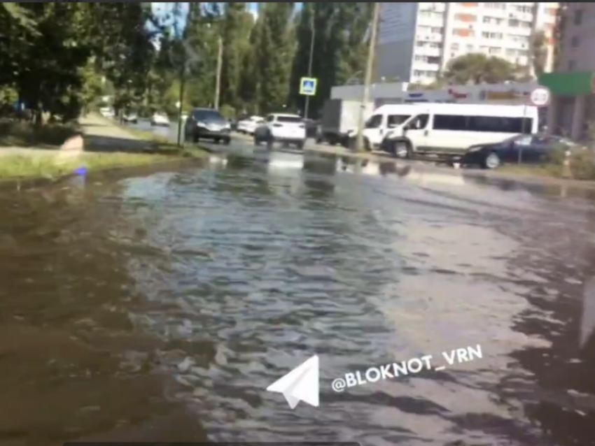 Маленькое «море» образовалось на воронежской улице