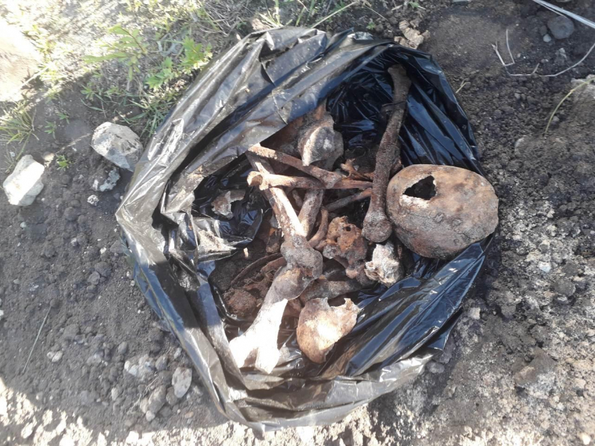 Человеческие скелеты раскопали у закрытого советской властью храма в Воронеже