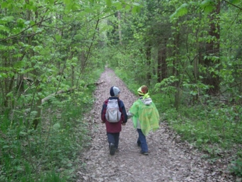 25 мая – международный День пропавших детей