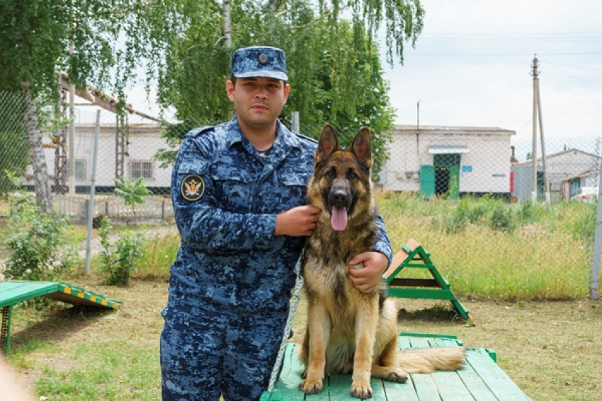 Кинолог из исправительной колонии спас тонущего в Воронежской области 