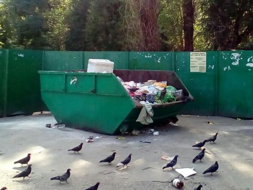 Мэрия Воронежа рассказала о судьбе детской площадки с запахом мусорки 