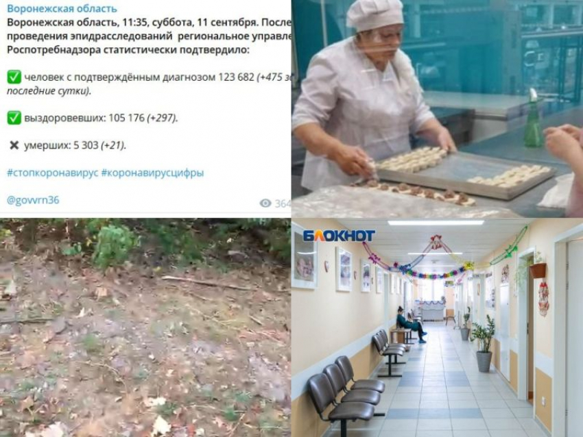 Коронавирус в Воронеже 11 сентября: +21 смерть, масочно-перчаточный скандал и город-помойка