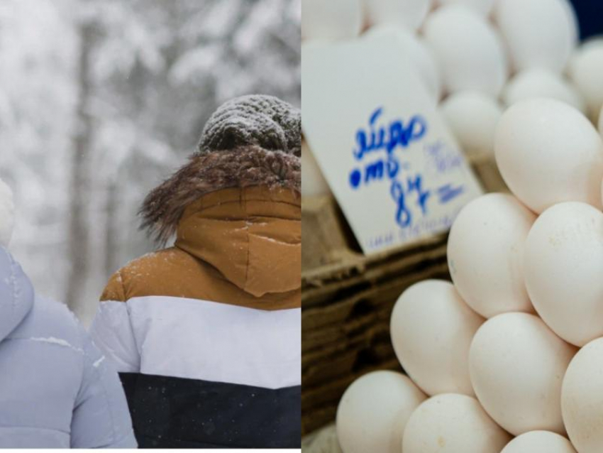 Десяток яиц и зимнее путешествие назвали лучшими подарками к Новому 2024 году в Воронеже 