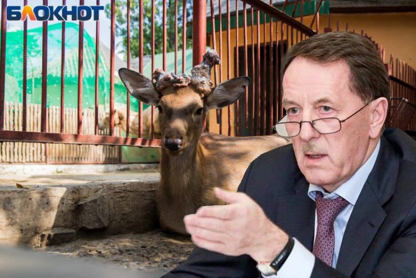 Над сохранением охотничьих животных задумался воронежский экс-губернатор Гордеев