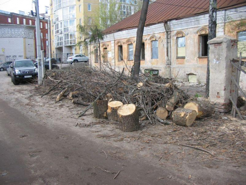 Проект реставрации старинного Дома Гарденина согласовали в Воронеже