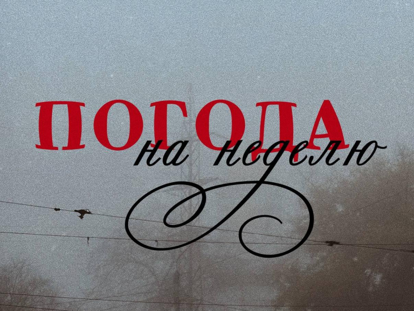 Не верь глазам своим: погода в Воронеже на неделю