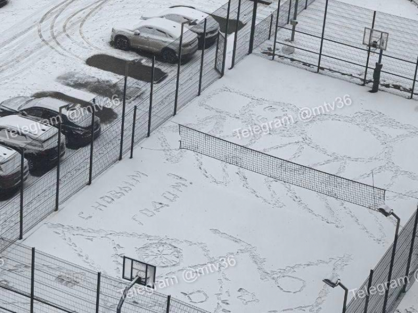 Первое поздравление с новым годом заметили в воронежском дворе