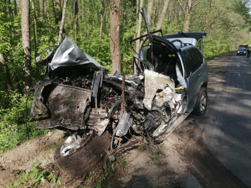 BMW-X5 разворотило об дерево в Воронежской области, водитель погиб 