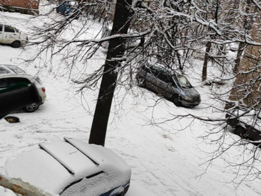 Деревья упадут в квартиры: проблемный двор показали в Воронеже