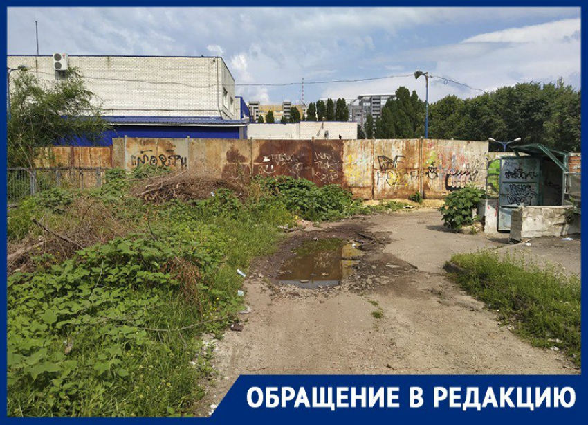 Портал в Нарнию, открытый колодец и автомобильные шины обнаружили рядом с «Котенком с улицы Лизюкова» в Воронеже