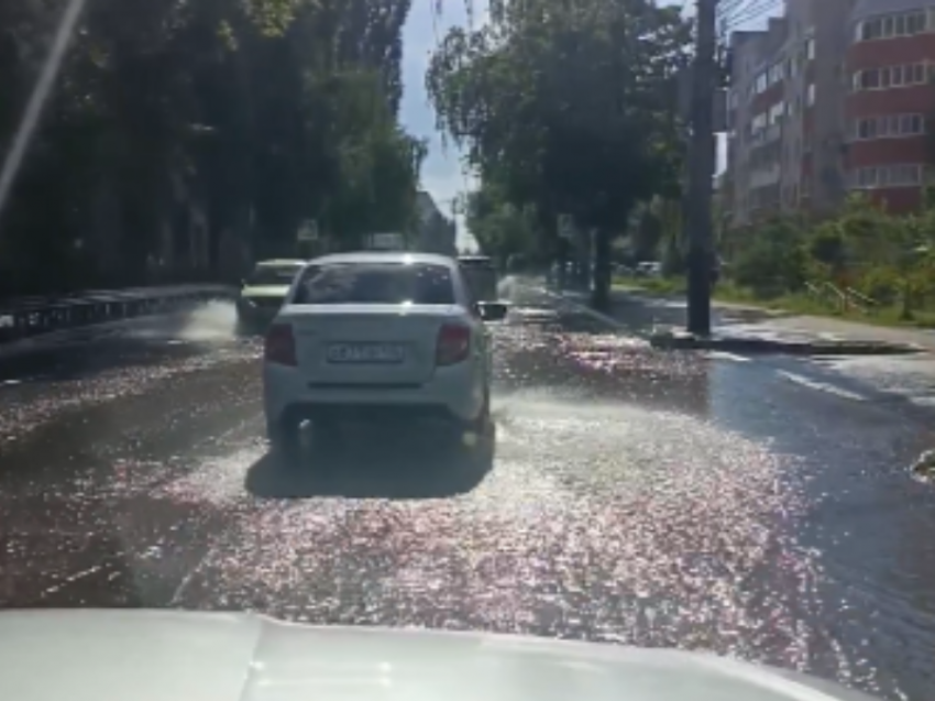 Из-за прорыва канализации на Московском проспекте изменена схема движения транспорта