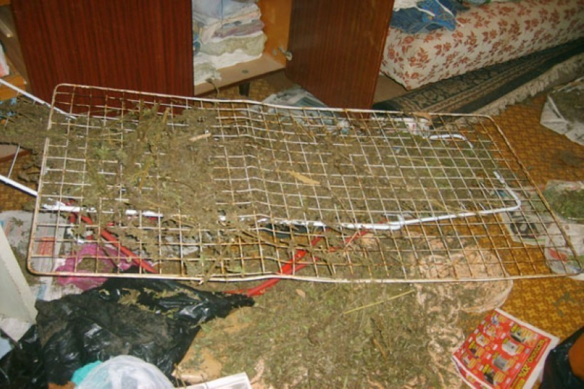 В Воронеже двое мужчин и женщина хранили в квартире 6 килограммов марихуаны
