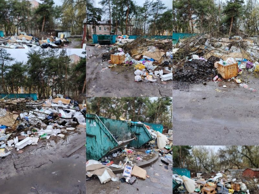 Фотографиями заваленной площадки 300 кубами мусора поделились воронежцы