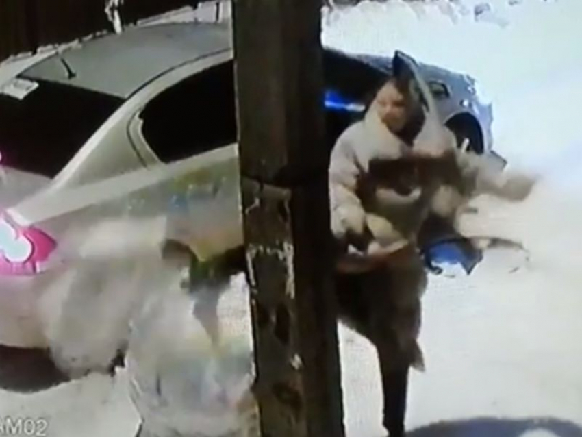 Каратистским ударом расправилась женщина со снеговиком в Воронеже