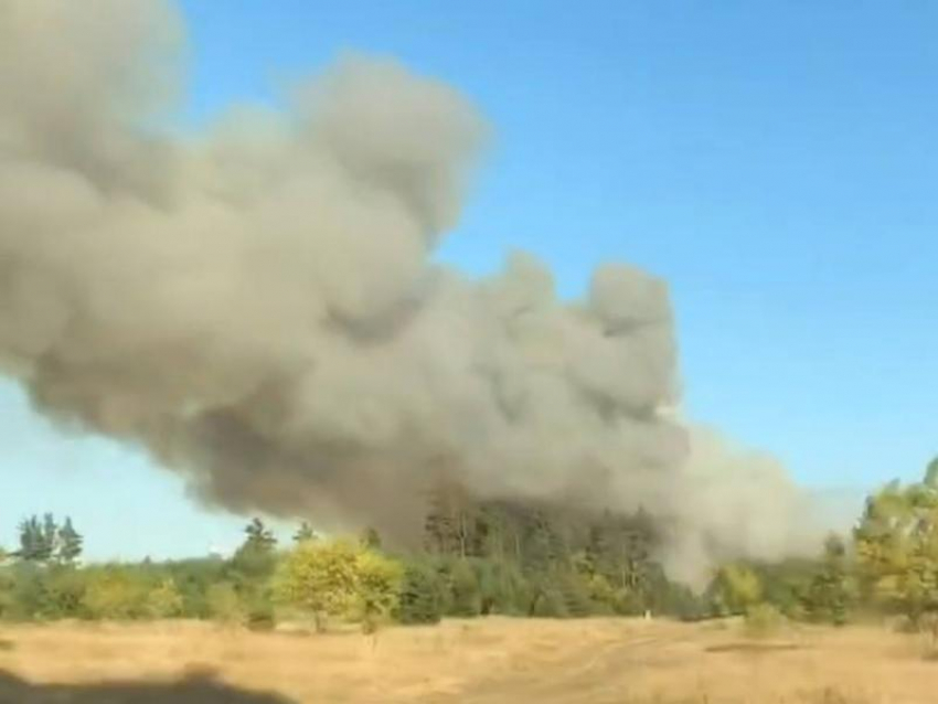 Жуткий пожар разгорелся в Воронеже - опубликовано видео