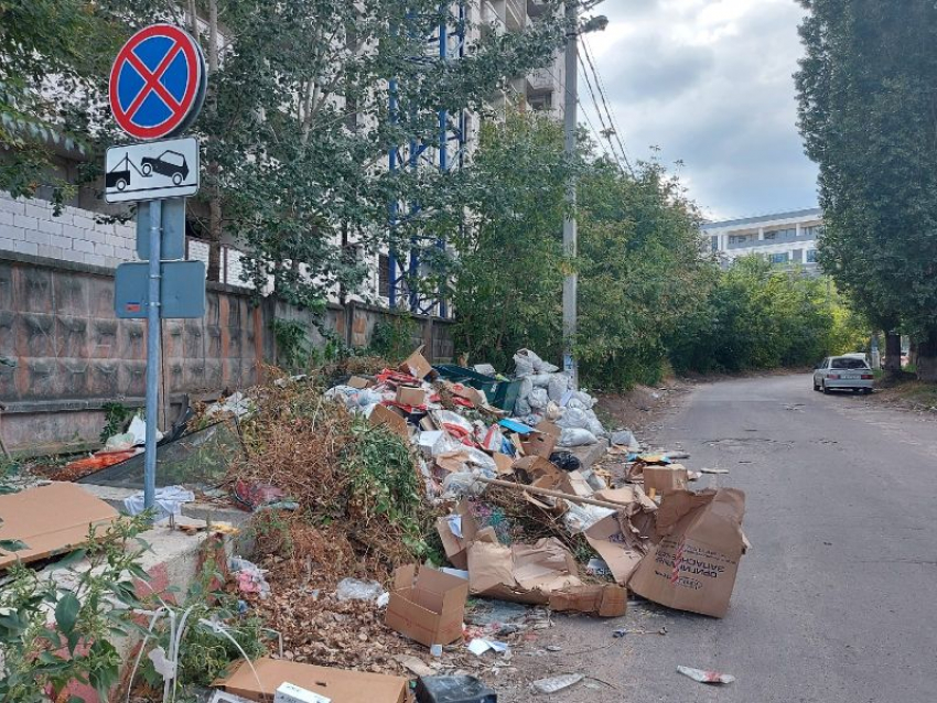 Гигантскую свалку из картонных коробок нашли в центре Воронежа