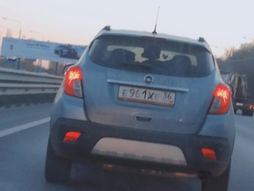 Автомобиль с нарисованными номерами заметили в Воронеже