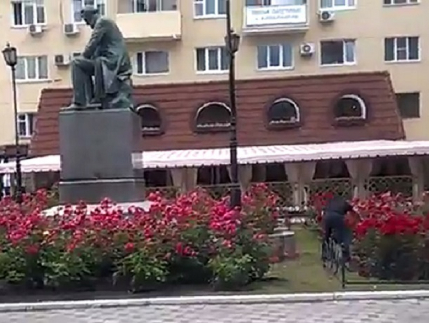 Срывающий цветы у «Пролетария» в Воронеже мужчина взбесил горожан  