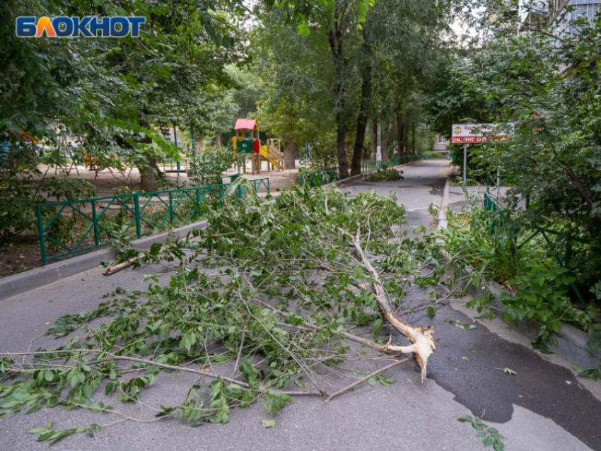 Оранжевый уровень погодной опасности объявили из-за сильного ветра в Воронежской области