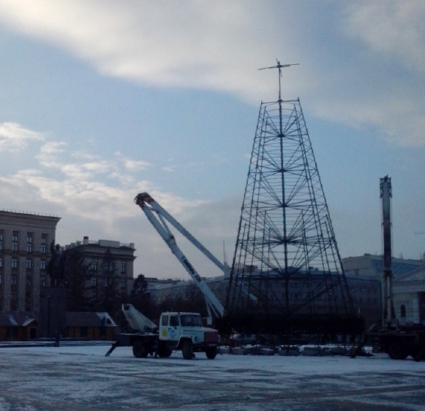 В Воронеже начали устанавливать главную елку на площади 
