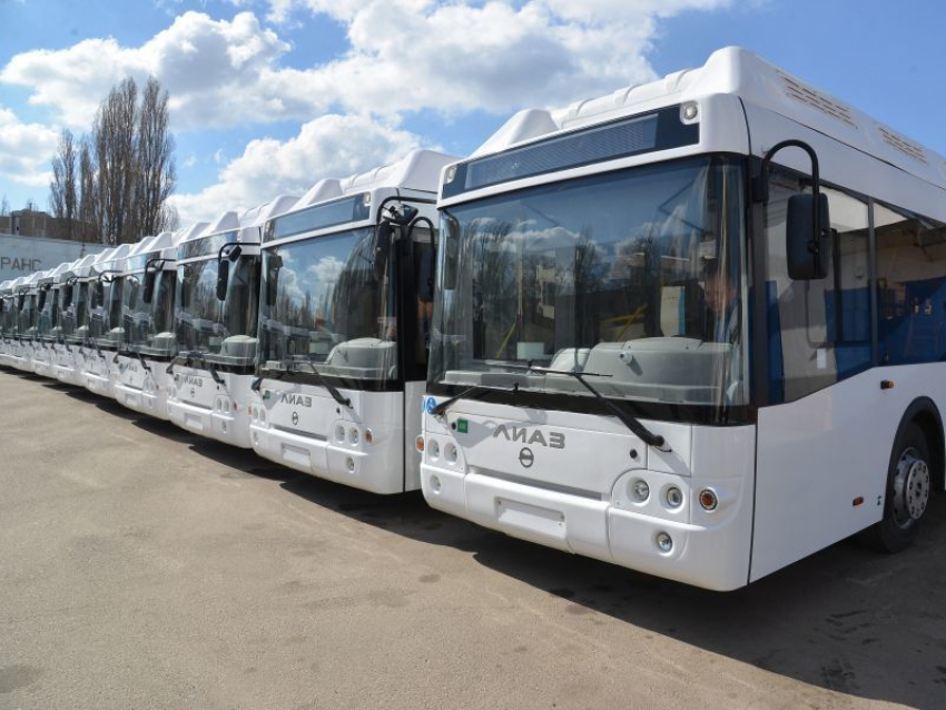 Очередные 18 новых автобусов показали в Воронеже